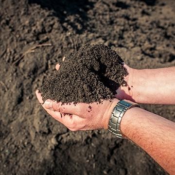 Twee handen tillen een hoop donkere, kruimelige bodemverbeteraar op boven een perceel van dezelfde grond