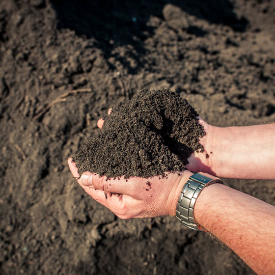 Rijpe compost