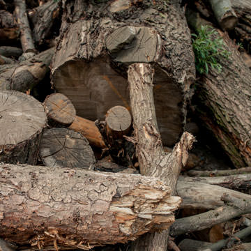Stapel snoeihout en boomstronken