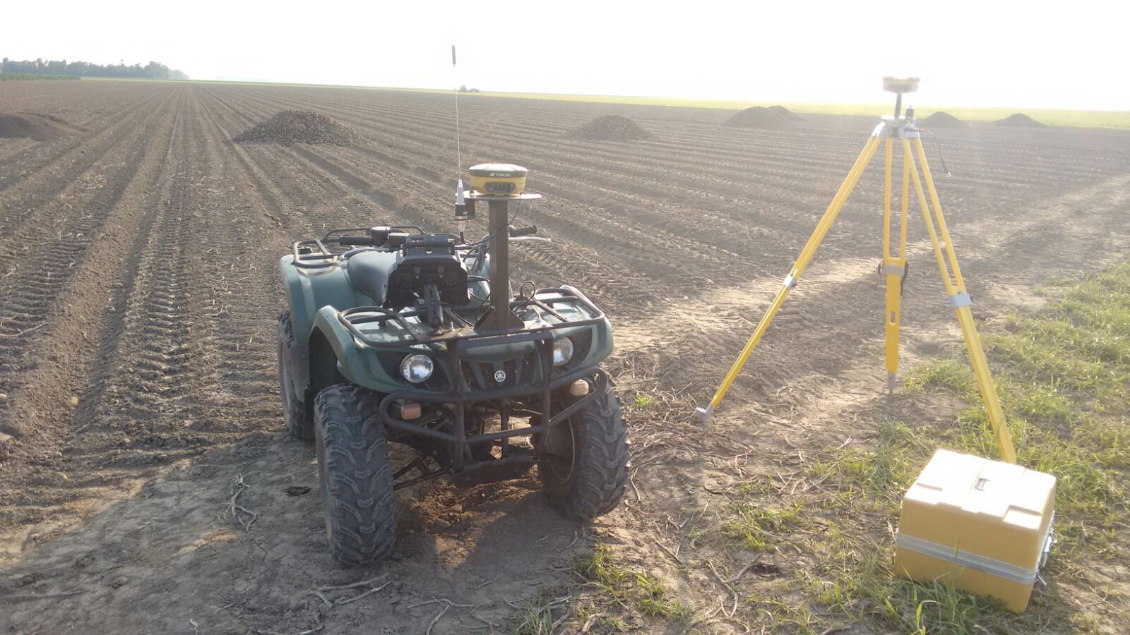 quad